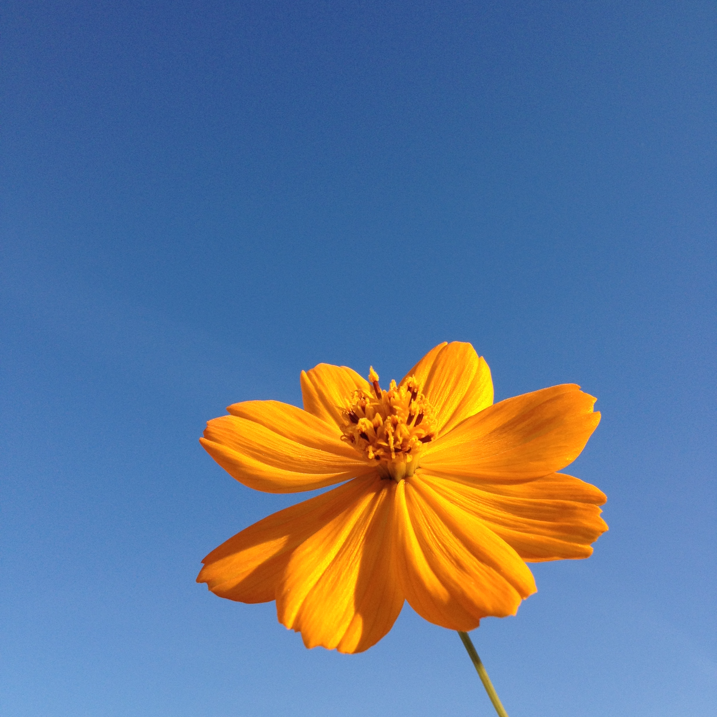 photo-02-12-2016-10-08-48